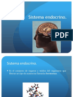 Sistema Endocrino