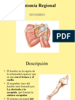 Extremidad Superior: Region Del Hombro 1