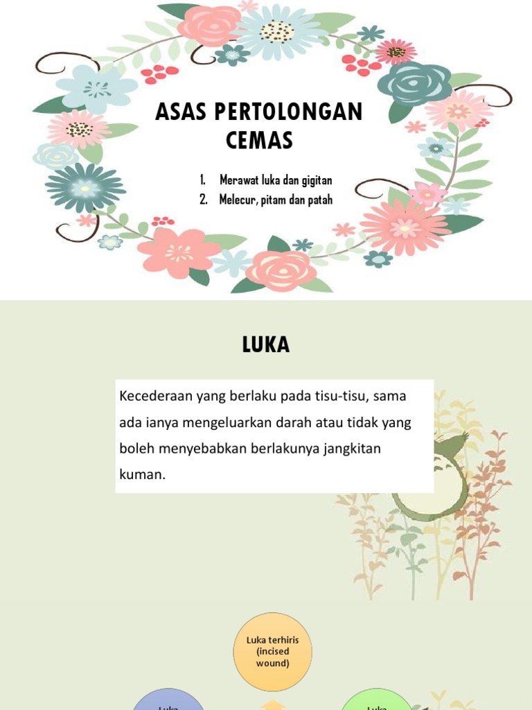 Asas Pertolongan Cemas Merawat Luka Dan Gigitan Melecur Pitam Dan Patah