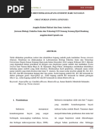 Download Isolasi Dan Identifikasi Kapang Endofit Dari Tanaman Obat Suria by YustinAyu SN357565273 doc pdf