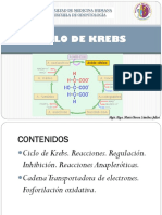 Ciclo de krebs.pptx