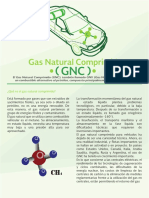 Gas Natural Comprimido