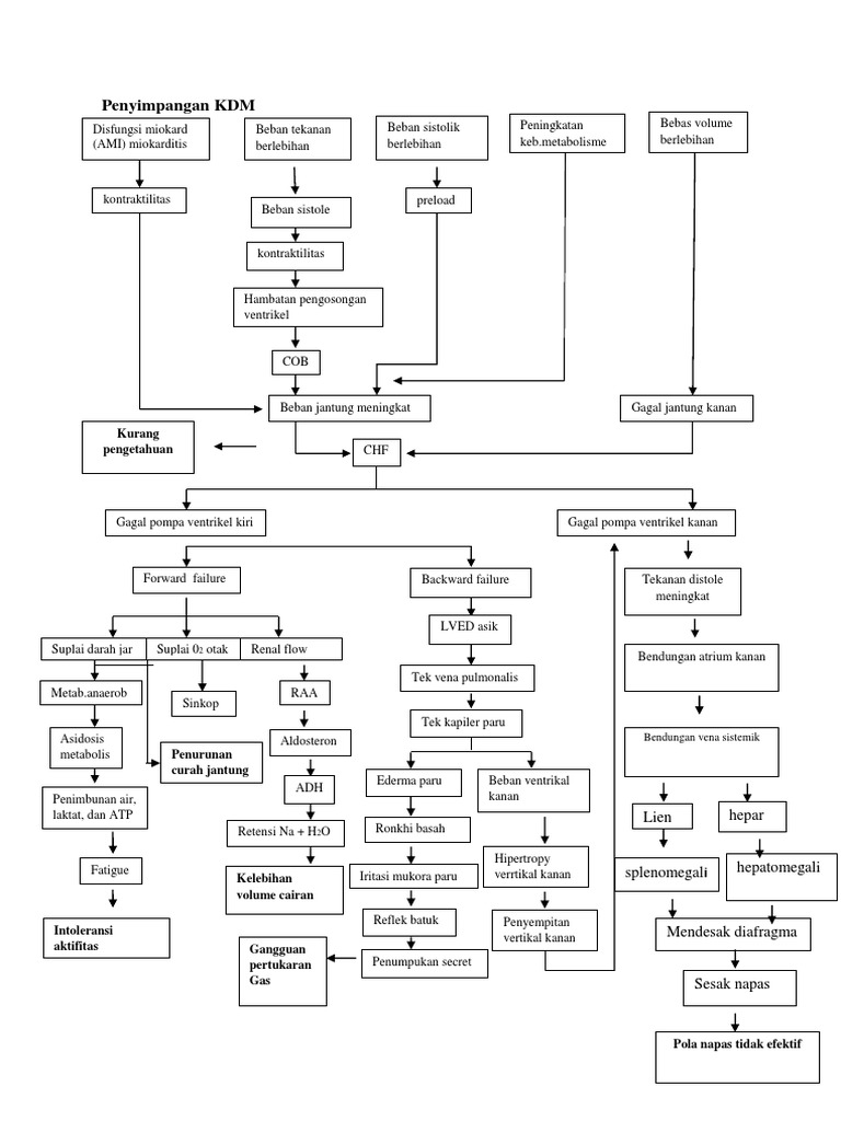 Penyimpangan KDM | PDF