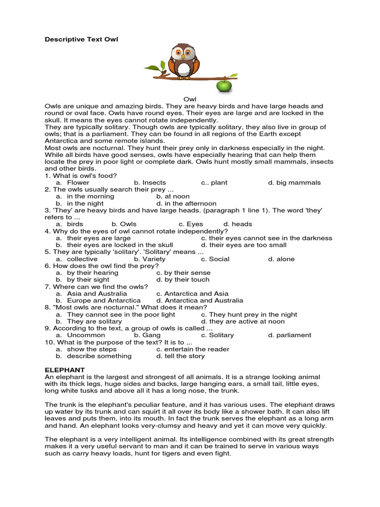Descriptive Text Owl Pdf Owl Elephant