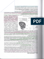 Fisiologie Cuore1 PDF