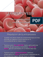 Eritropoyesis PDF