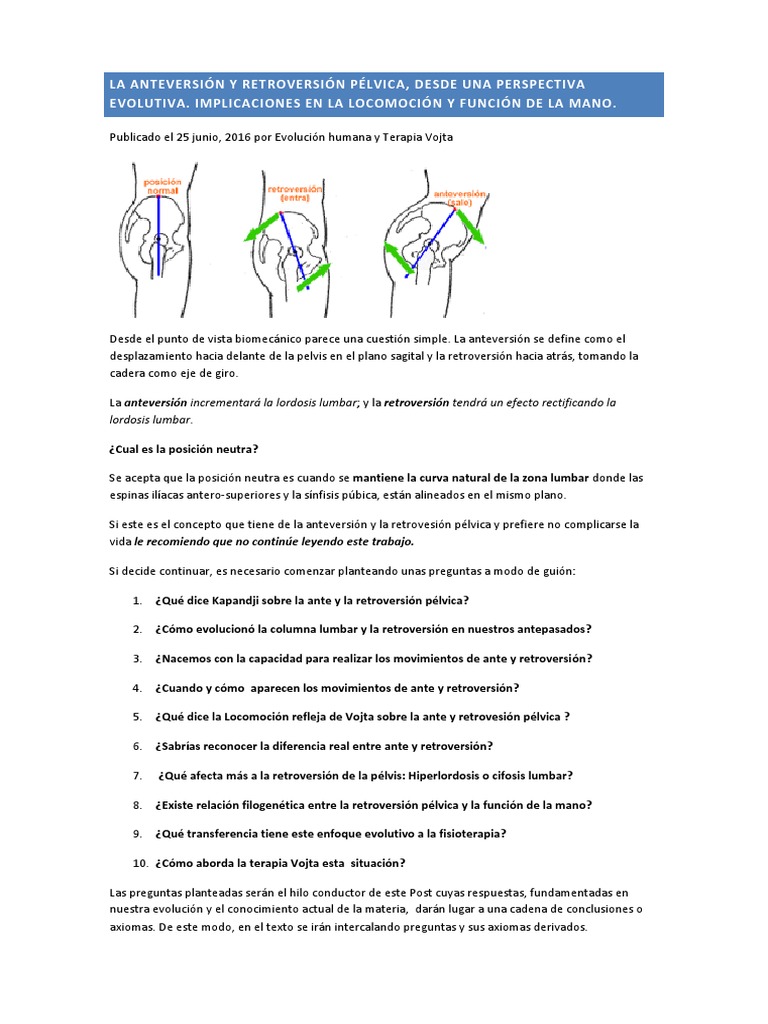 La Anteversión y Retroversión Pélvica | Bipedalismo | Pelvis