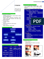 MODUL 1 (Penanganan Jalan Napas)