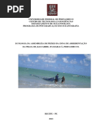 Ecologia e Assembleia de Peixes Itamaracá