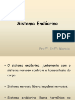 Sistema Endócrino