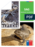 Guia Anfibios Reptiles Sag PDF