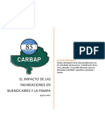 Informe de Carbap Sobre Inundaciones