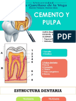 Salud Bucodental