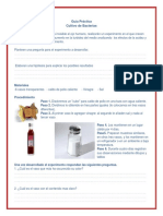 GUIA PRACTICO DE BACTERIAS.pdf