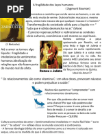 A Fragilidade Dos Laços Humanos