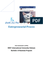 Entrepreneurial Process: RMIT International University Vietnam Bachelor of Business Program