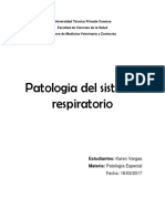 Patologias Del Sistema Respiratorio