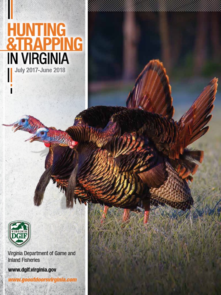 Hunting and Trapping in Virginia Regulations Digest PDF Fox Hunting Hunting
