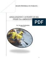 95626014-ANALISANDO-QUESITOS-NA-PERICIA-AMBIENTAL.pdf