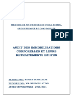 Audit Des Immobilisations Corporelles Et Leurs Retraitements en IFRS 2011