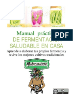 Manual-práctico kombucha.pdf