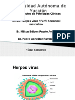 Tema Herpesvirus y Perfil Hormonal Masculino 