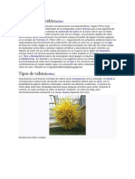 scribd14.docx