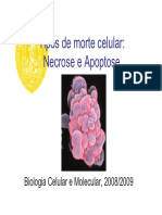 Tipos de Morte Celular: Necrose e Apoptose