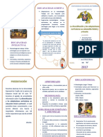 Tríptico de La Diversificación y Las Adaptaciones Curriculares