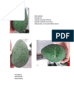 Daño Lenticela- PALTA.docx