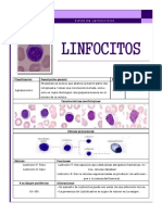 Atlas de Celulas Blancas - SBH