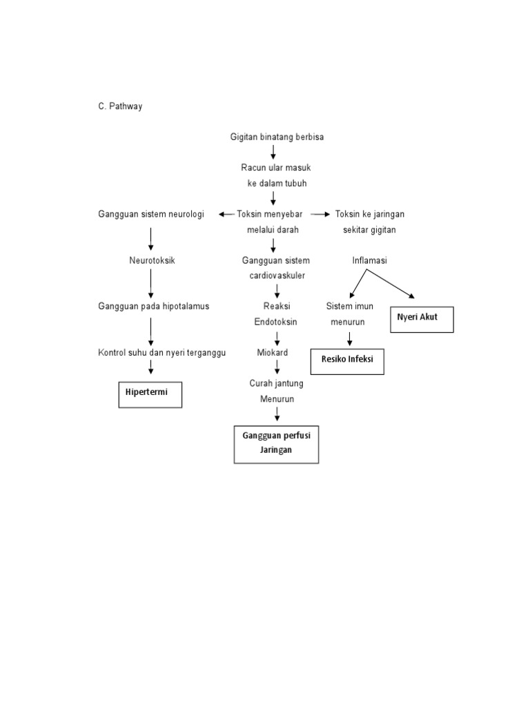Pathway Gigitan Berbisa Pdf