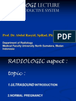 Blok Reproductive System: Prof. Dr. Abdul Rasyid, Sprad, PHD