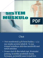 sistem_muskuler.ppt