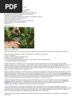 La Estación de La Poda