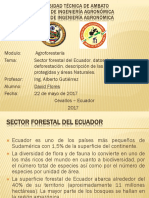 Sector Forestal Del Ecuador, Datos de La Deforestación, Descripción de Las Áreas Protegidas y Áreas Naturales.