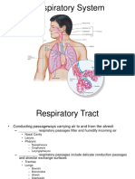 Unit 10 Respiratory Anatomy Student