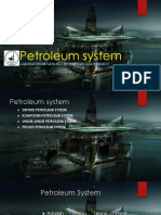 Petroleum System