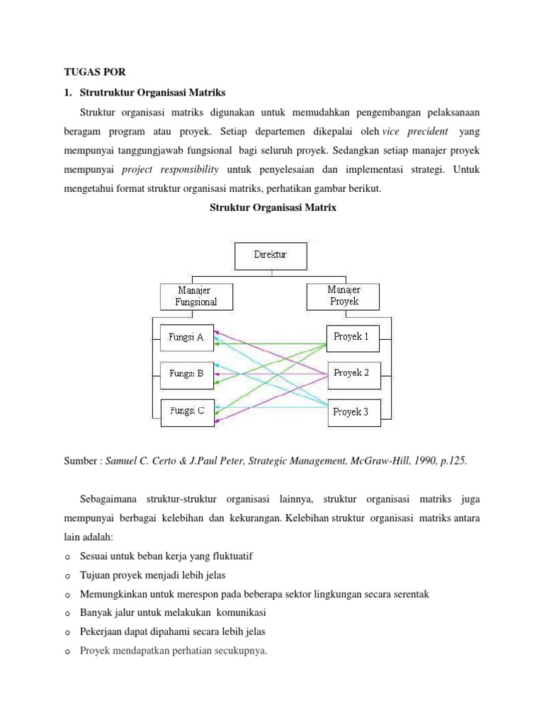 Kelebihan Dan Kelemahan Struktur Organisasi Matriks Kelebihan Dan Kelemahan Struktur Organisasi Matriks