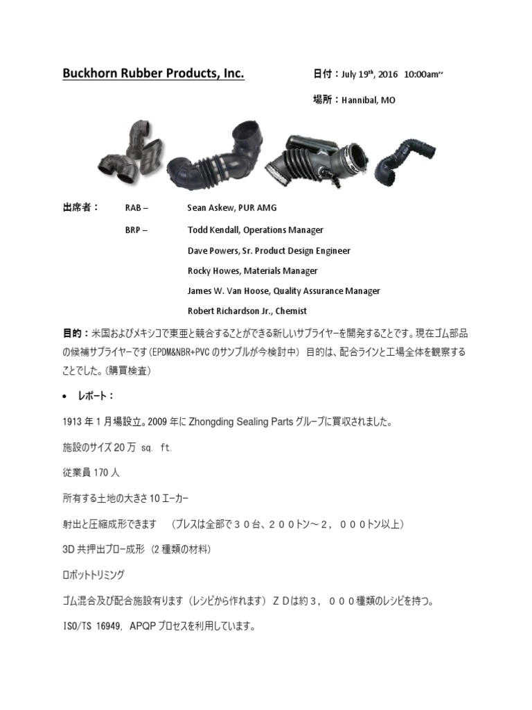 Buckhorn Rubber (ZD) | PDF