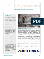 artículo Servicios de Apoyo Crtítico.pdf