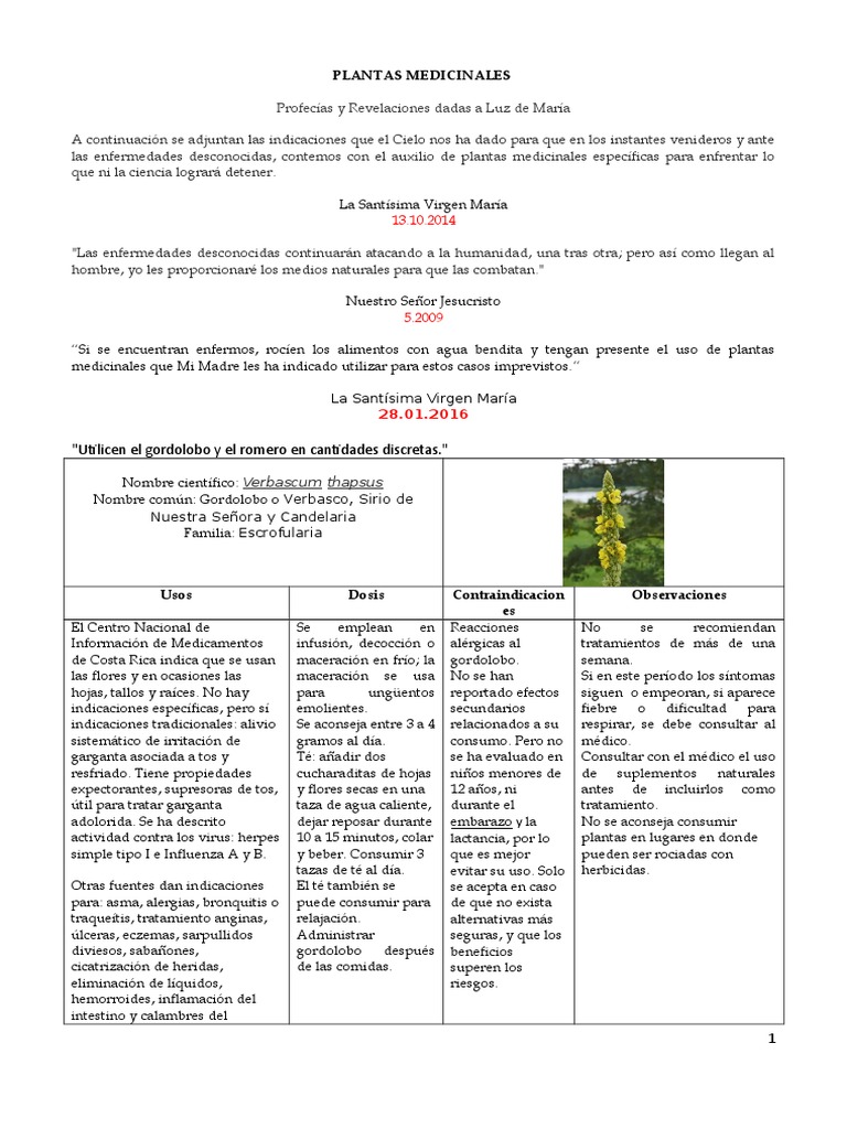 Plantas Medicinales Doc Medicamentos Con Receta Plantas
