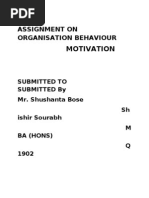 Assignment on ion Behaviour