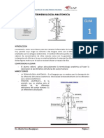 GUIA 1 TERMINOLOGIA.pdf