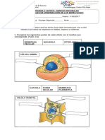 prueba ciencias naturales 5 adecuada.docx