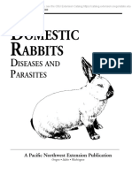 Omestic Abbits: Iseases and Arasites