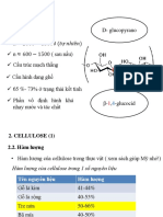 Giấy Cellulose 1