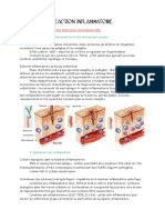 Reaction Inflammatoire