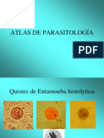 Atlas de Parasitologia 
