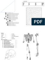 Sistema óseo y sus funciones